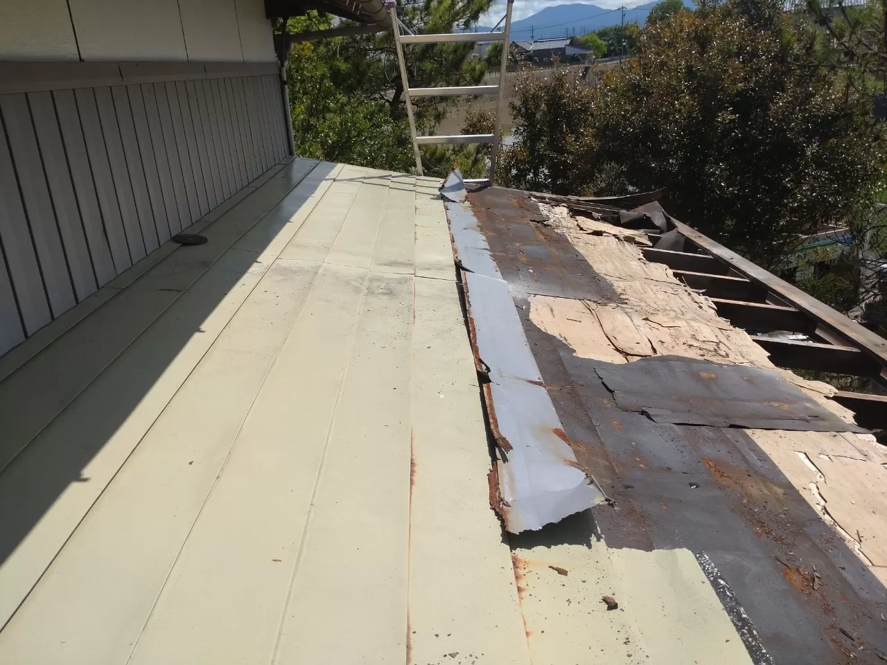 屋根板金撤去状況