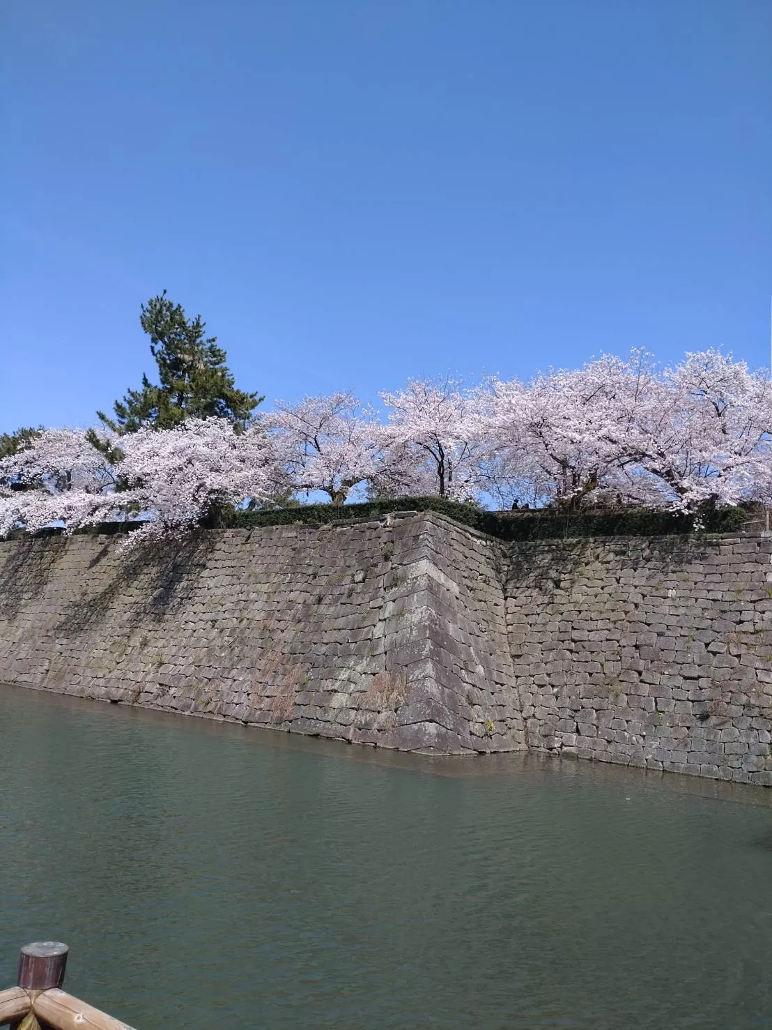 県庁のお堀
