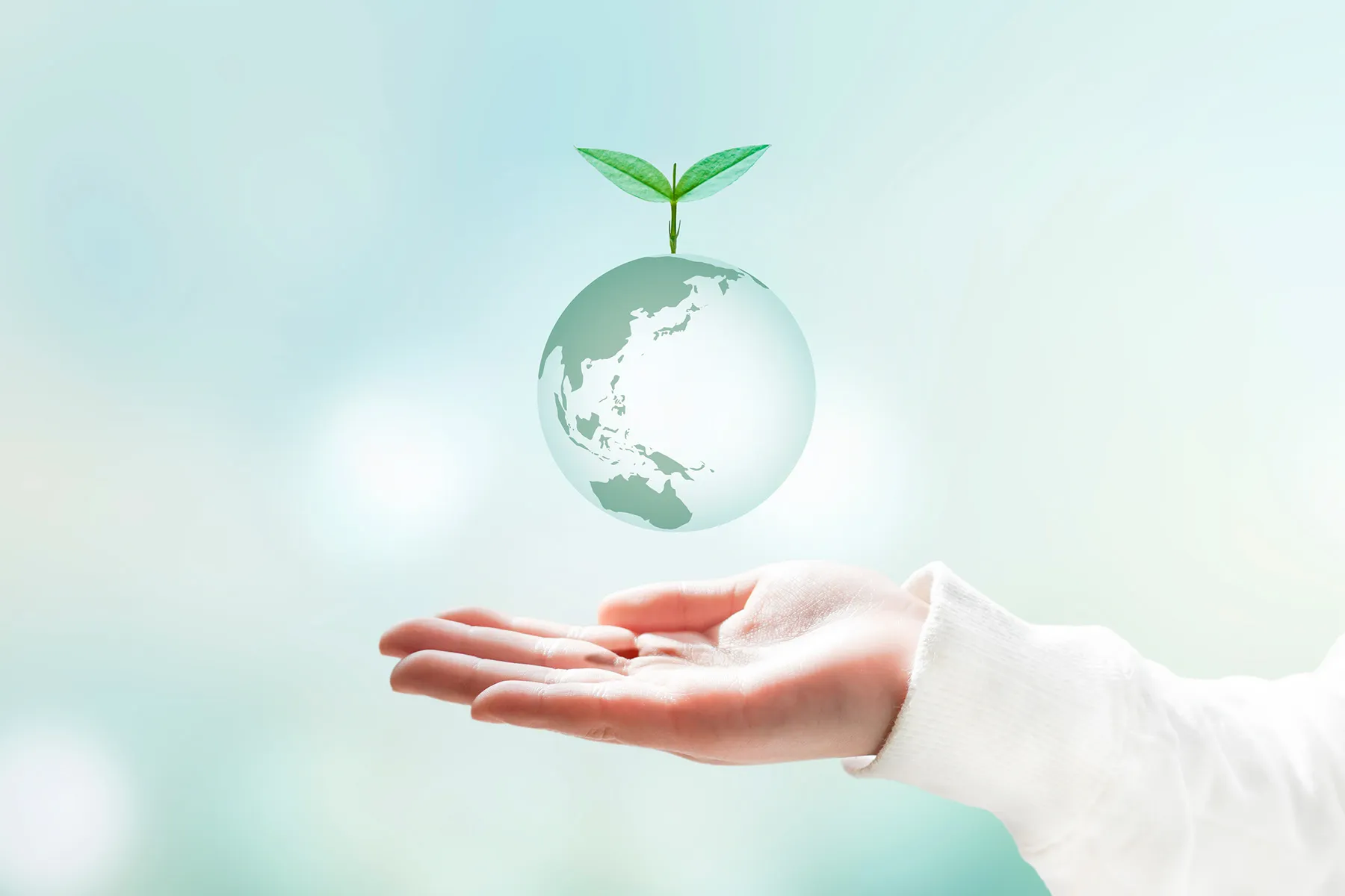 自然の力を活かし、優れた省エネ効果も発揮