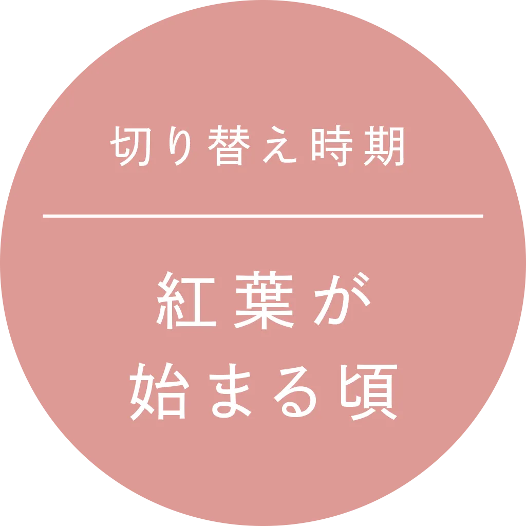 切り替え時期：紅葉が始まる頃